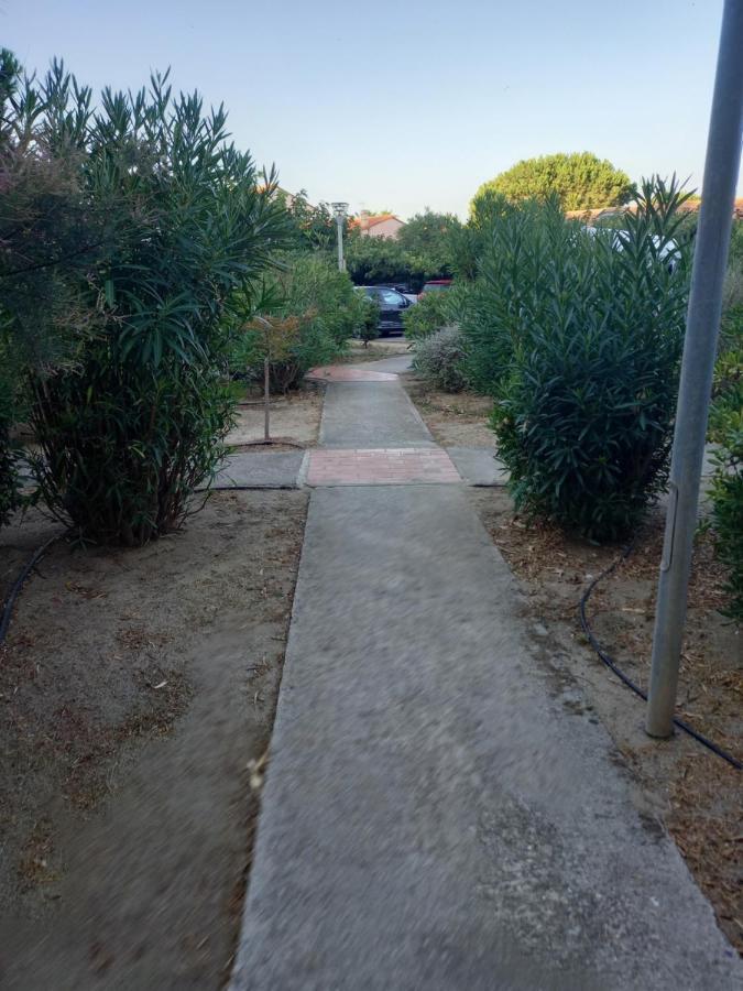 Appartement Saint Cyprien Plage Residence Les Mas De La Mer Kültér fotó